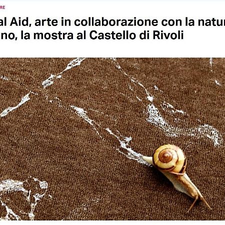 Апартаменты La Casa Di Silvio Ai Giardini Reali Турин Экстерьер фото